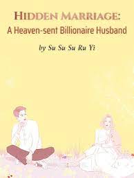 Hidden Marriage: A Heaven-sent Billionaire Husband Novel