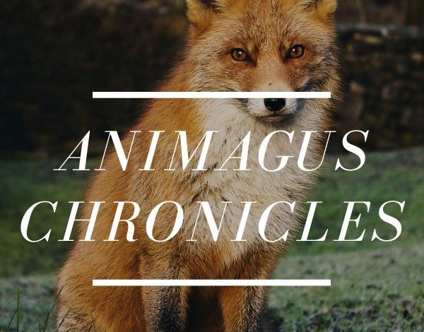 The Animagus Chronicles: A 'Harry Potter' Marauders Fanfiction Novel