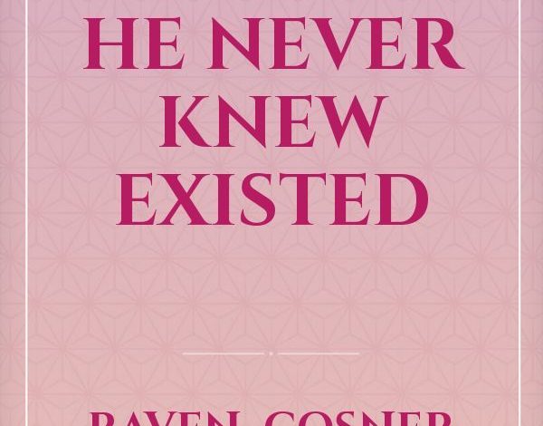 The Sister He Never Knew Existed Novel