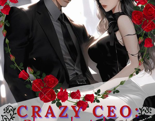 Crazy CEO: Please Don't Love Me Novel