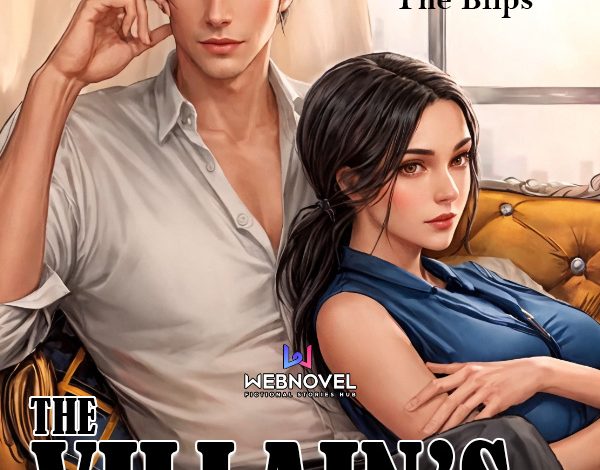 The Villain's Wife Novel