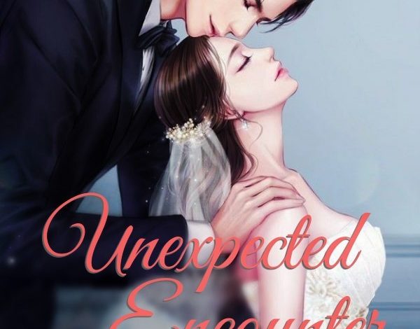 Unexpected encounter: They were meant to be Together Novel